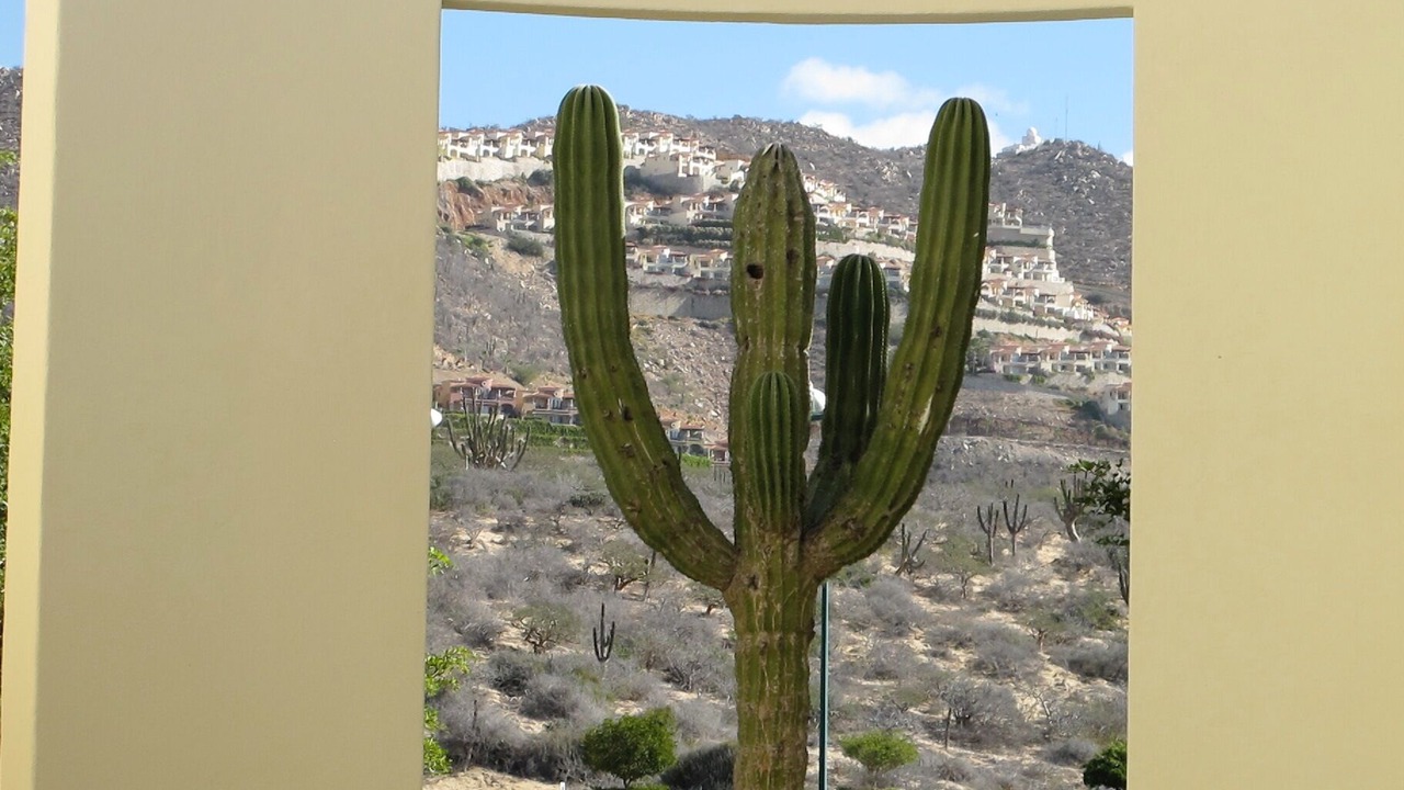 Photo of Others in Paraiso Escondido