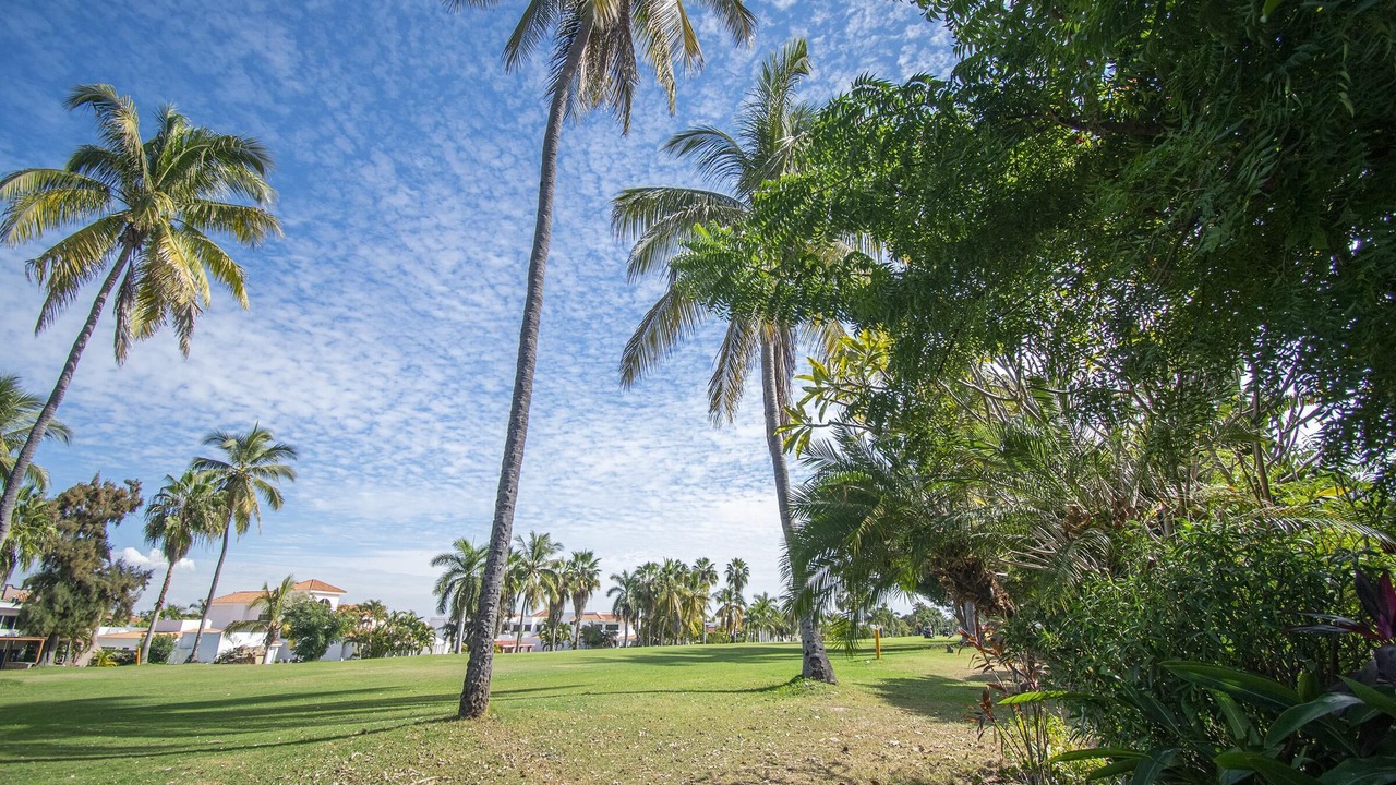 Photo of Outdoor in El Cid