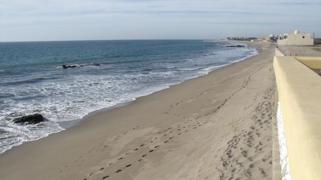 Photo of Others in Mazatlan