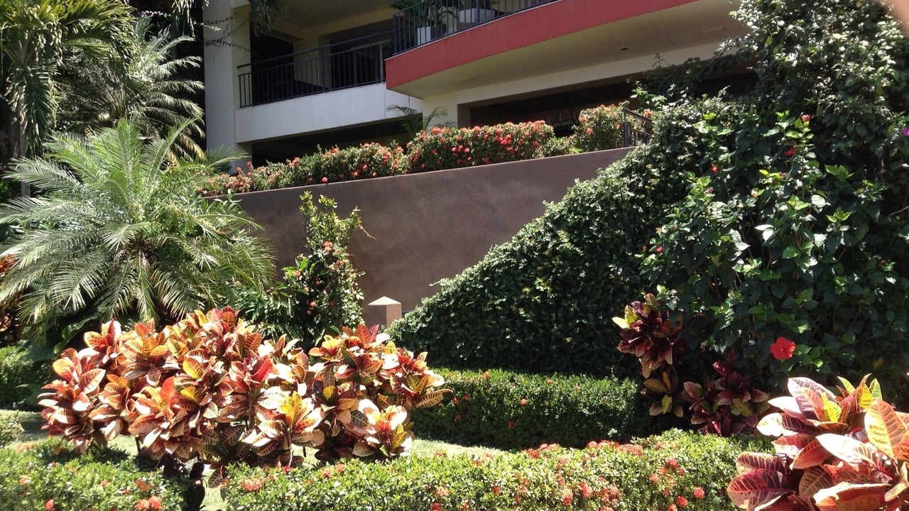 Photo of Outdoor in Romantic Zone