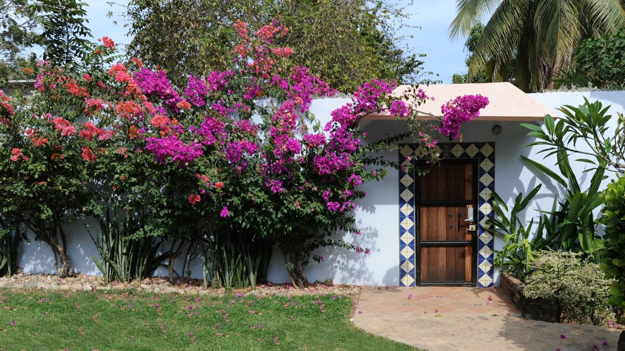 Photo of Outdoor in Brisas de Zicatela