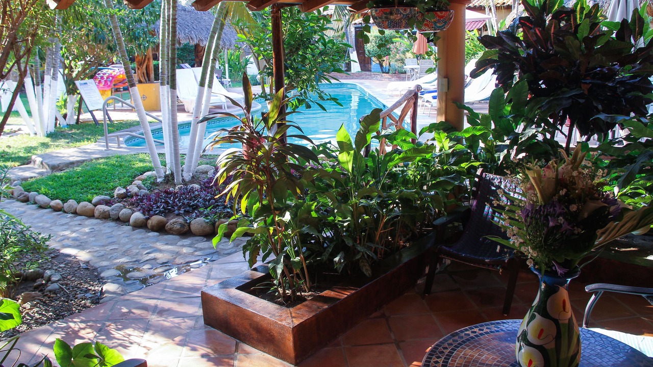 Photo of Outdoor in Brisas de Zicatela