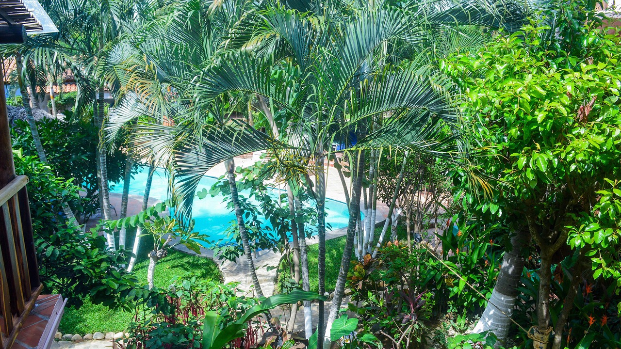 Photo of Outdoor in Brisas de Zicatela