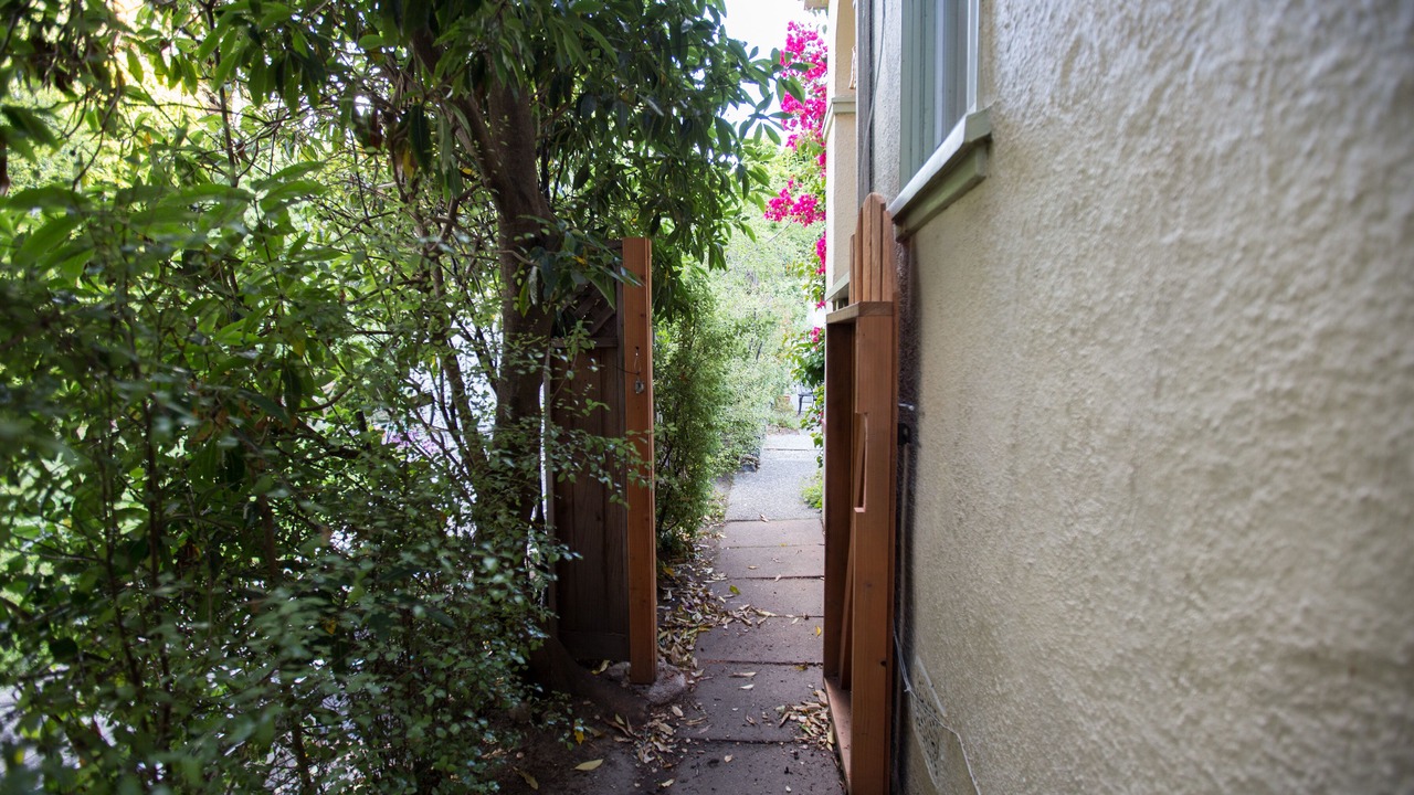 Photo of Outdoor in Berkeley