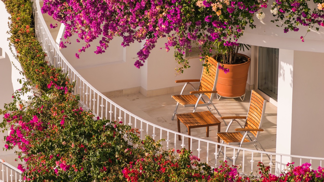 Photo of Patio Balcony in Conchas Chinas
