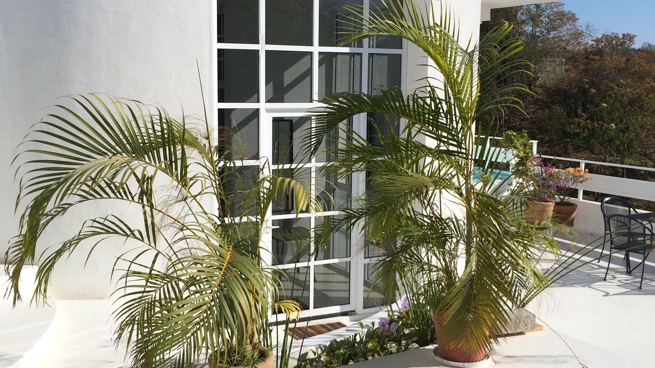 Photo of Patio Balcony in Puerto Angel