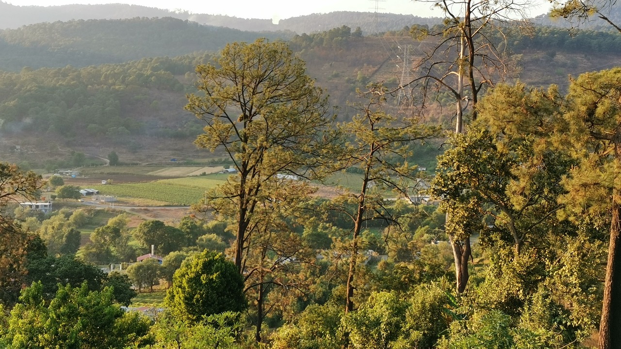 Photo of Outdoor in El Santuario