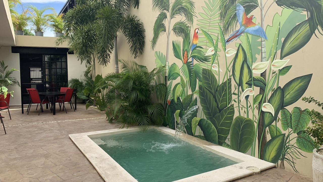 Photo of Outdoor in Centro