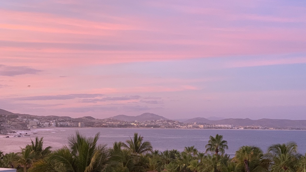 Photo of Others in Palmilla