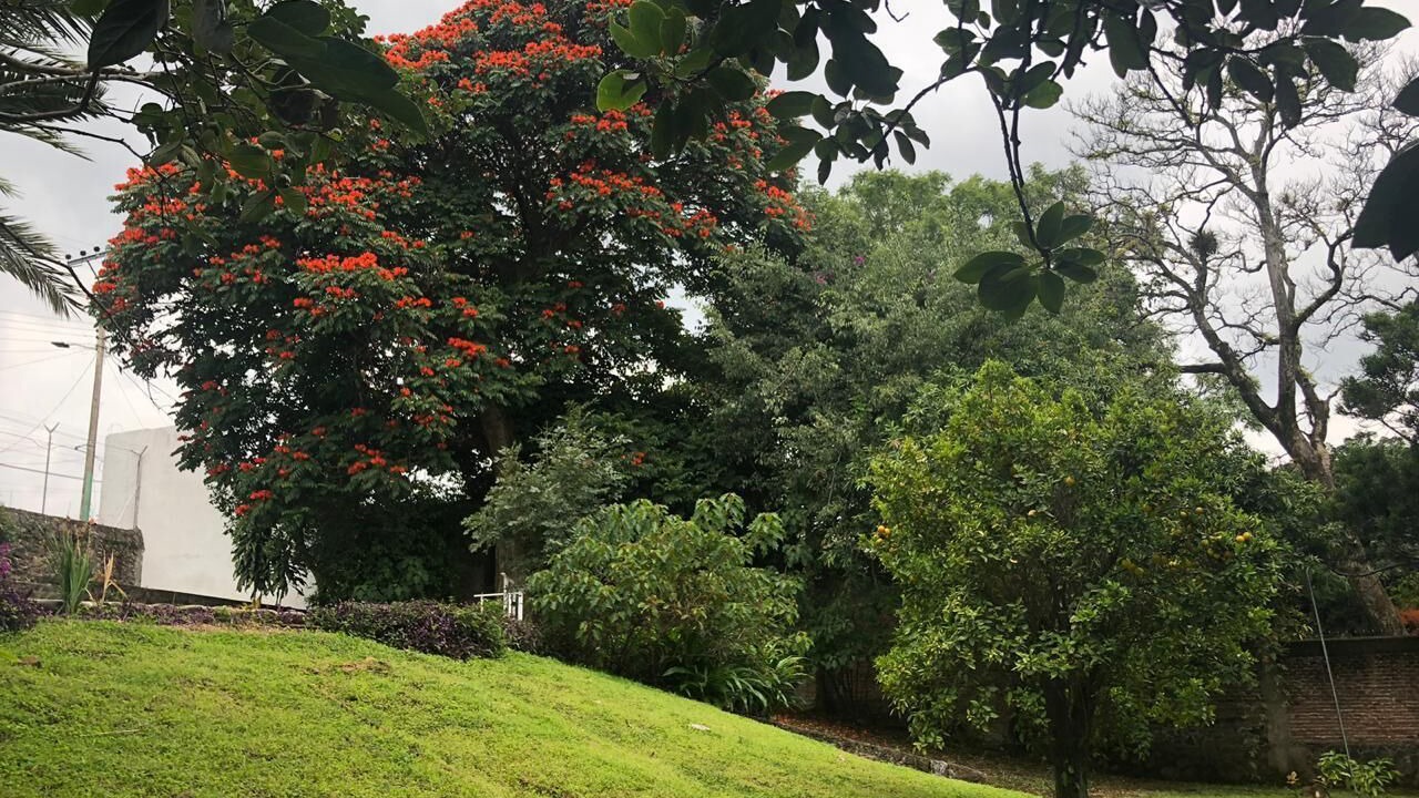 Photo of Outdoor in Santa Maria Ahuacatitlan