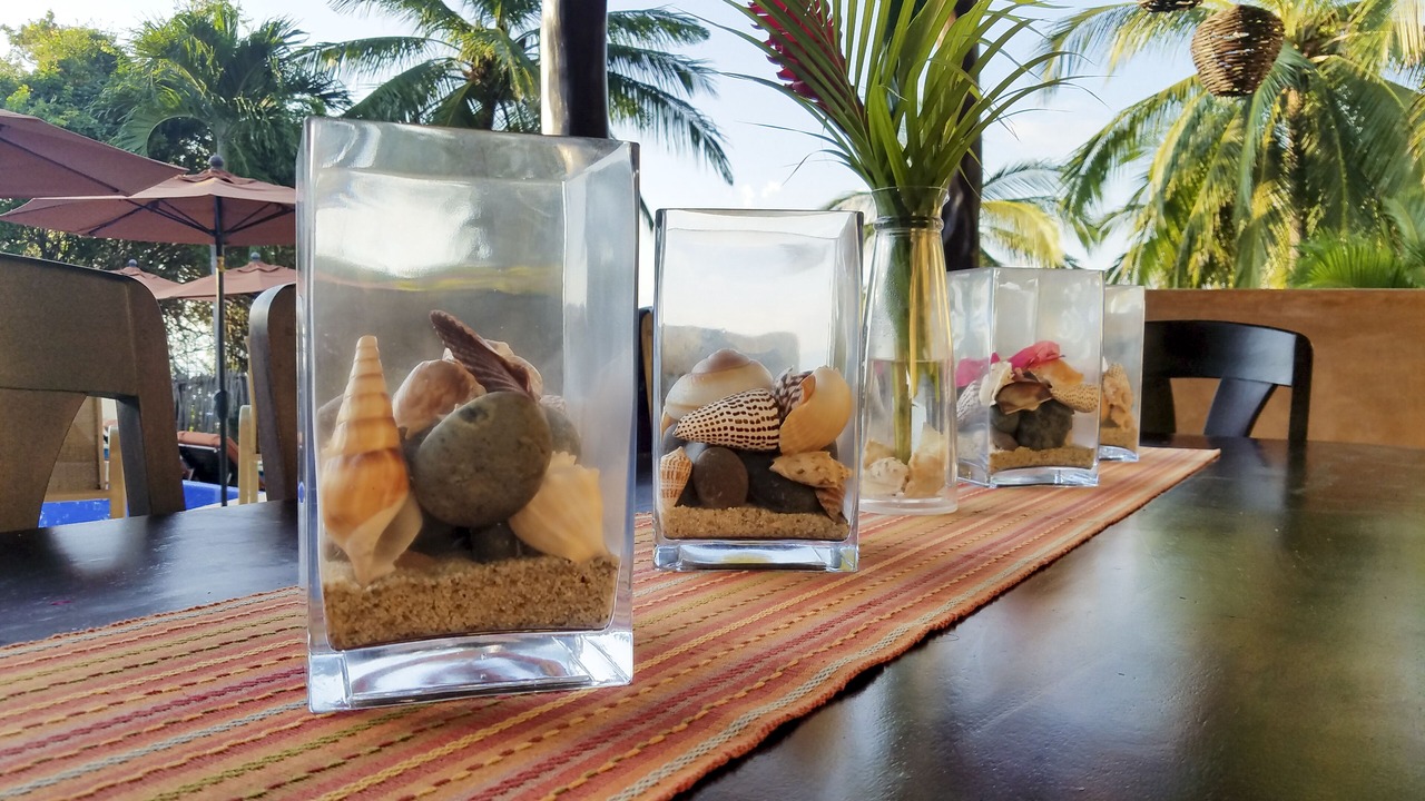 Photo of Outdoor in Troncones