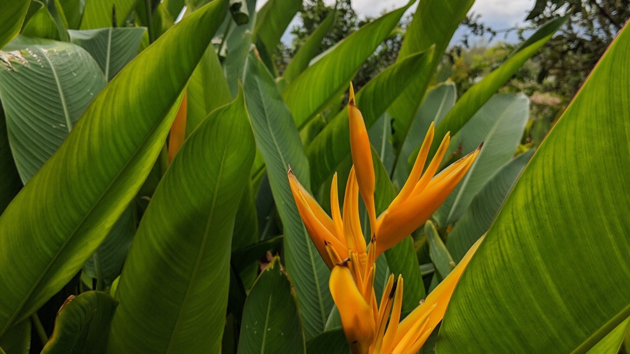 Photo of Outdoor in Nuevo Vallarta