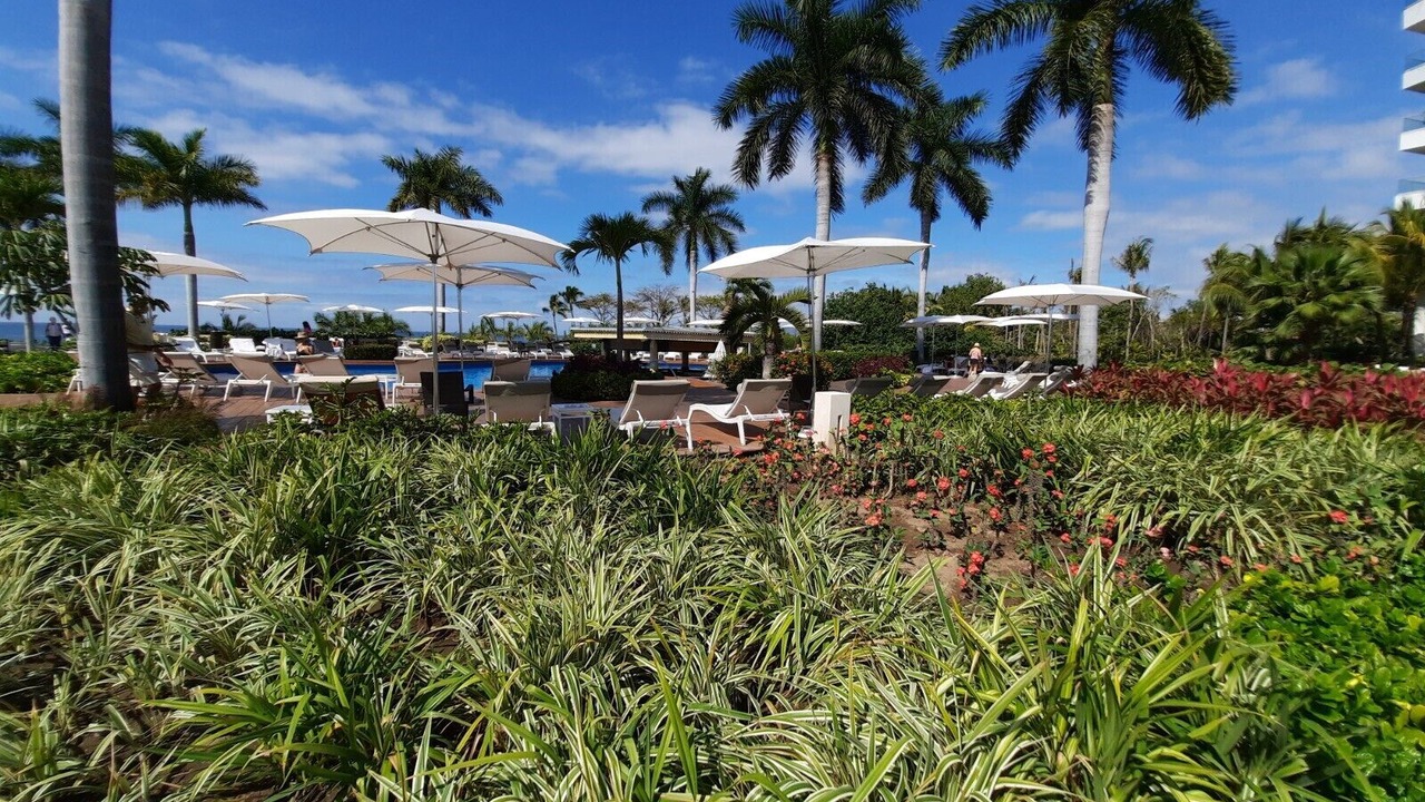 Photo of Outdoor in Nuevo Vallarta