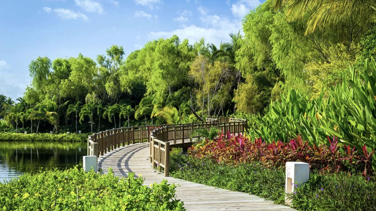 Photo of Outdoor in Nuevo Vallarta