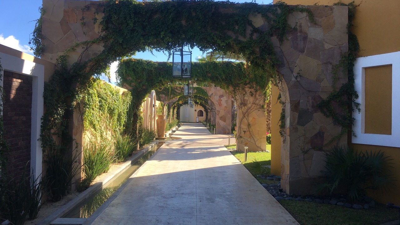 Photo of Outdoor in Los Cabos