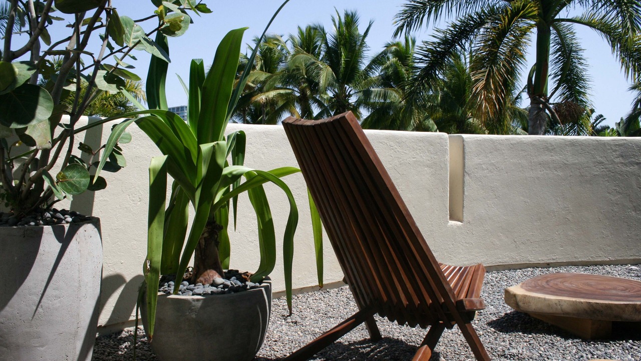 Photo of Outdoor in Ixtapa