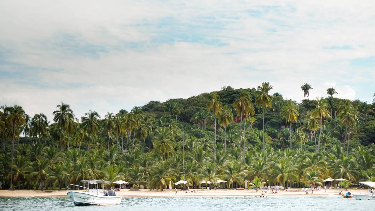 Photo of Others in Chacala