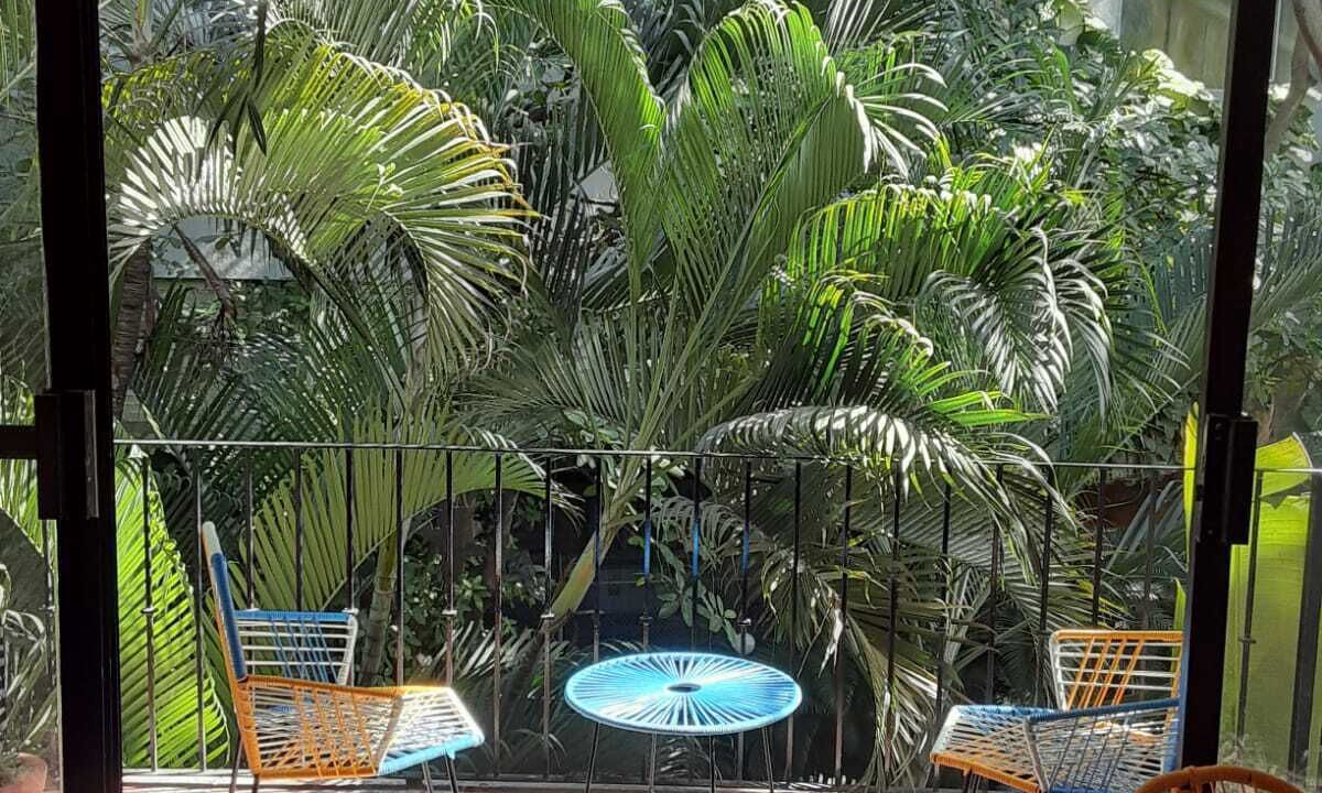 Photo of Outdoor in Fluvial Vallarta