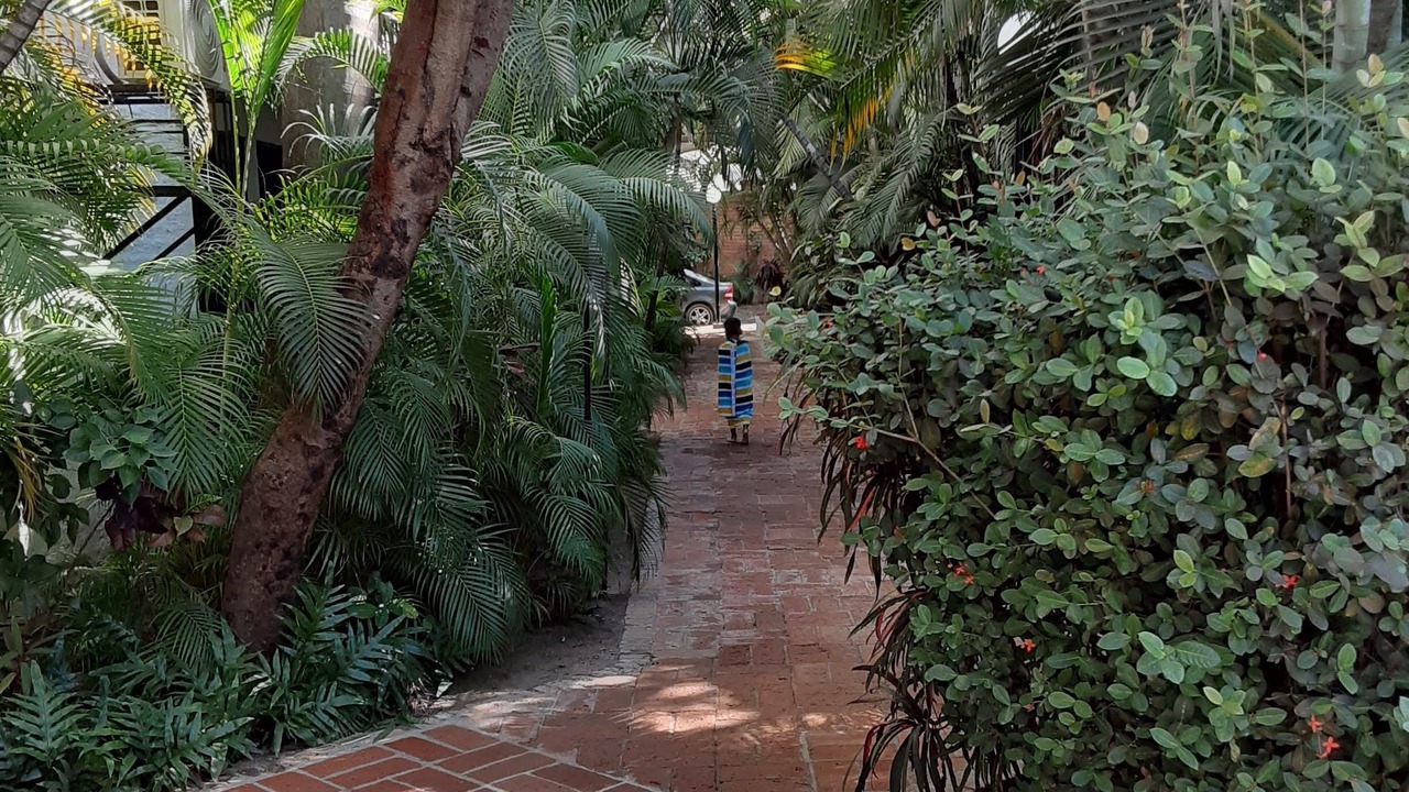 Photo of Outdoor in Fluvial Vallarta