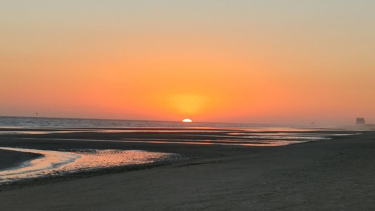 Photo of Others in Puerto Penasco