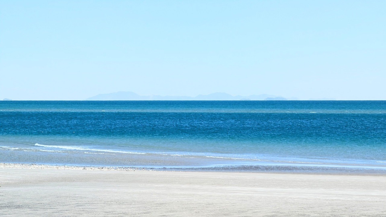 Photo of Others in Puerto Penasco