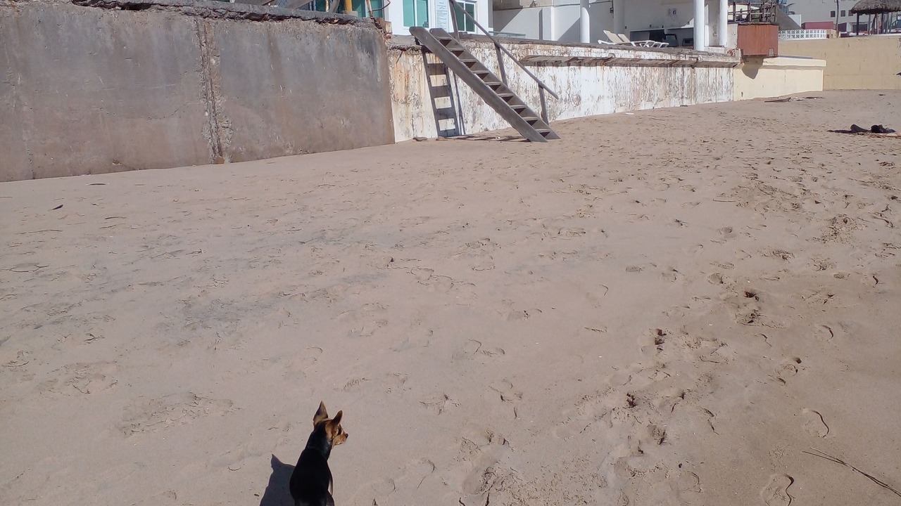 Photo of Outdoor in Marina Mazatlan