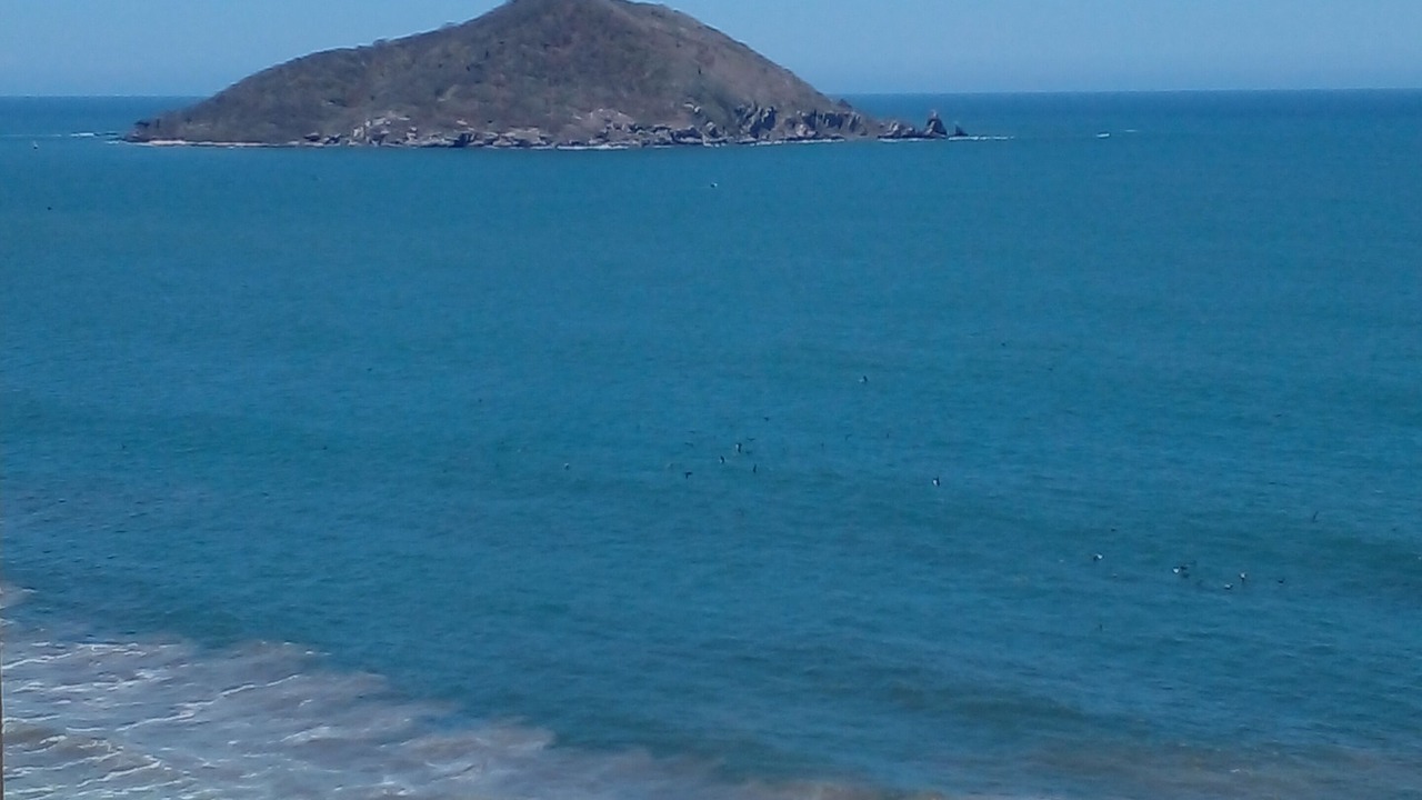 Photo of Others in Marina Mazatlan