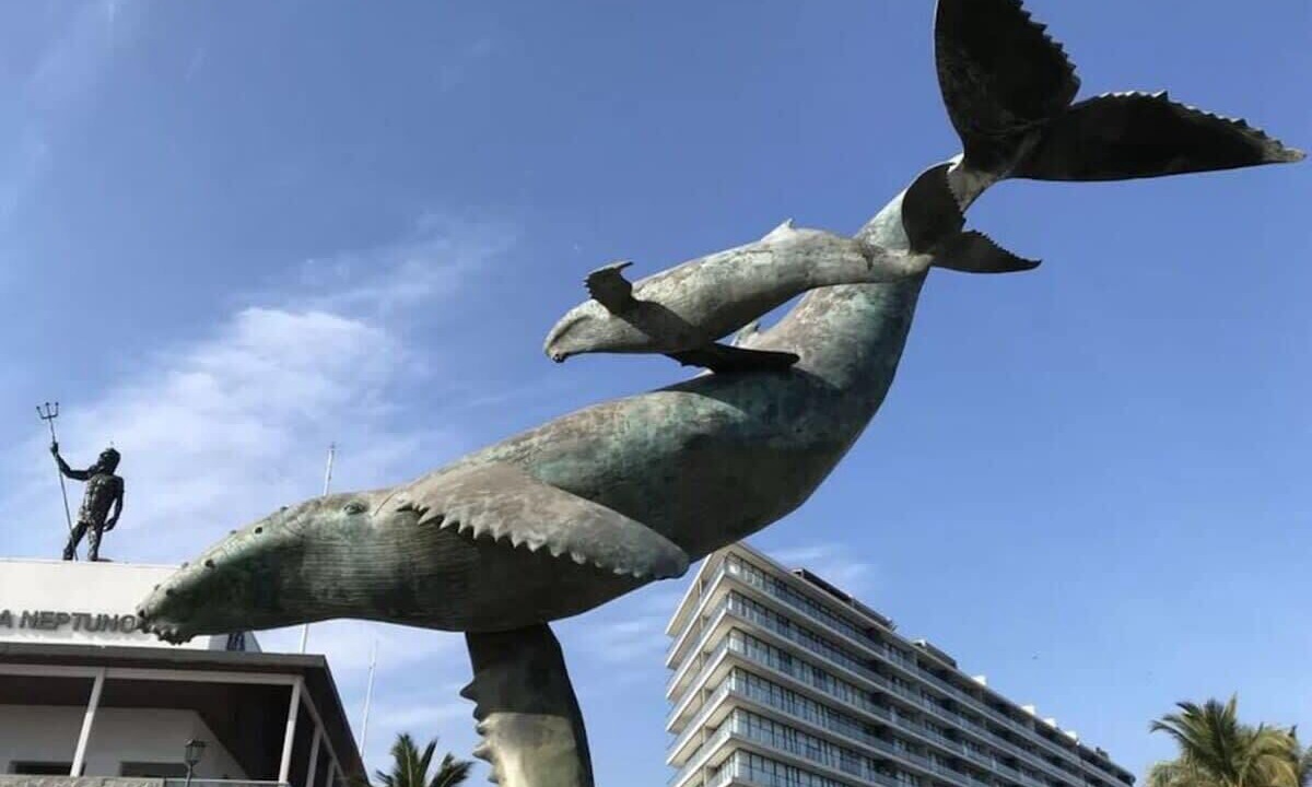 Photo of Others in Isla Iguana