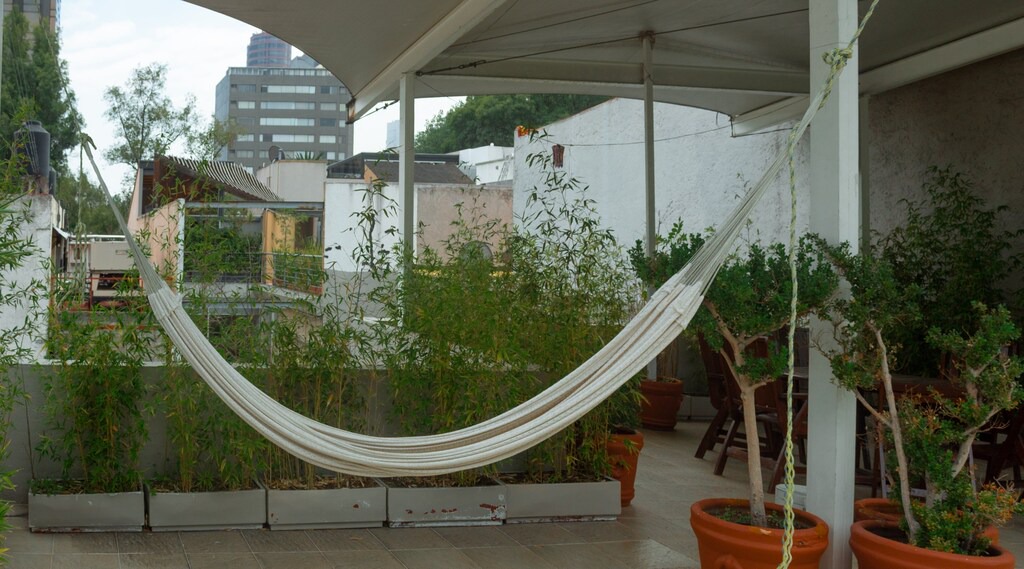 Photo of Others in Polanco