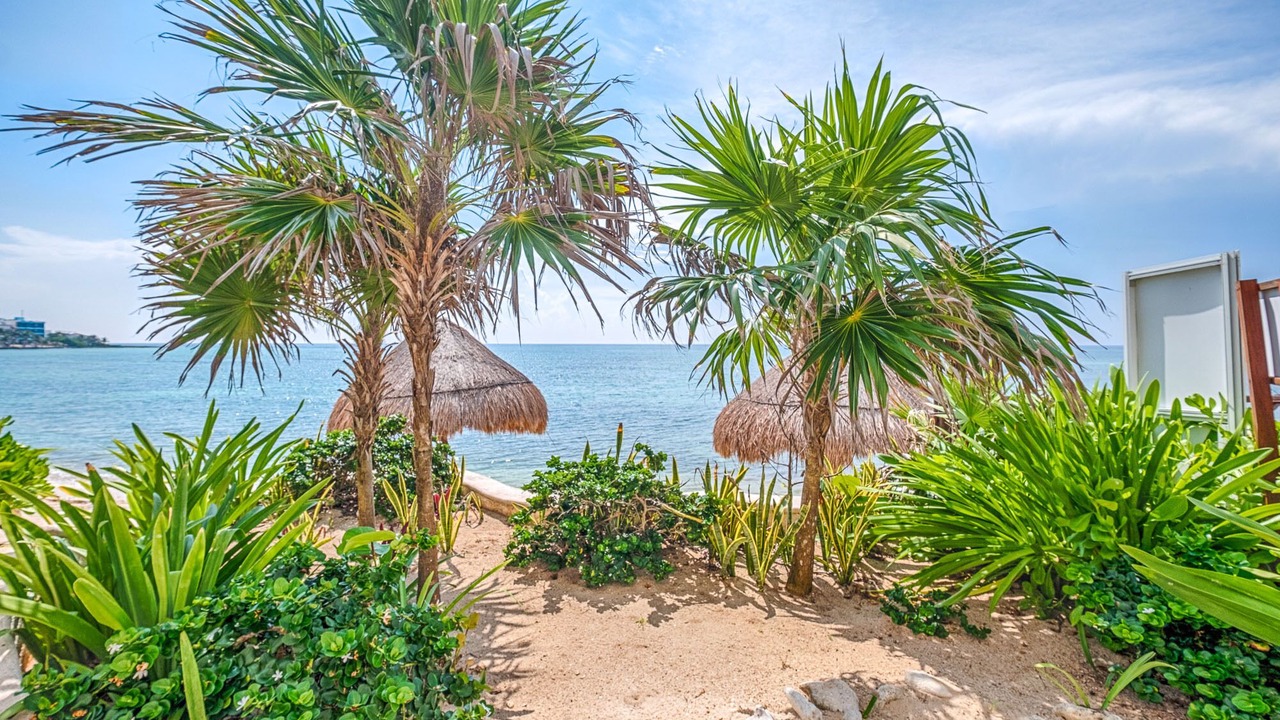 Photo of Others in Akumal
