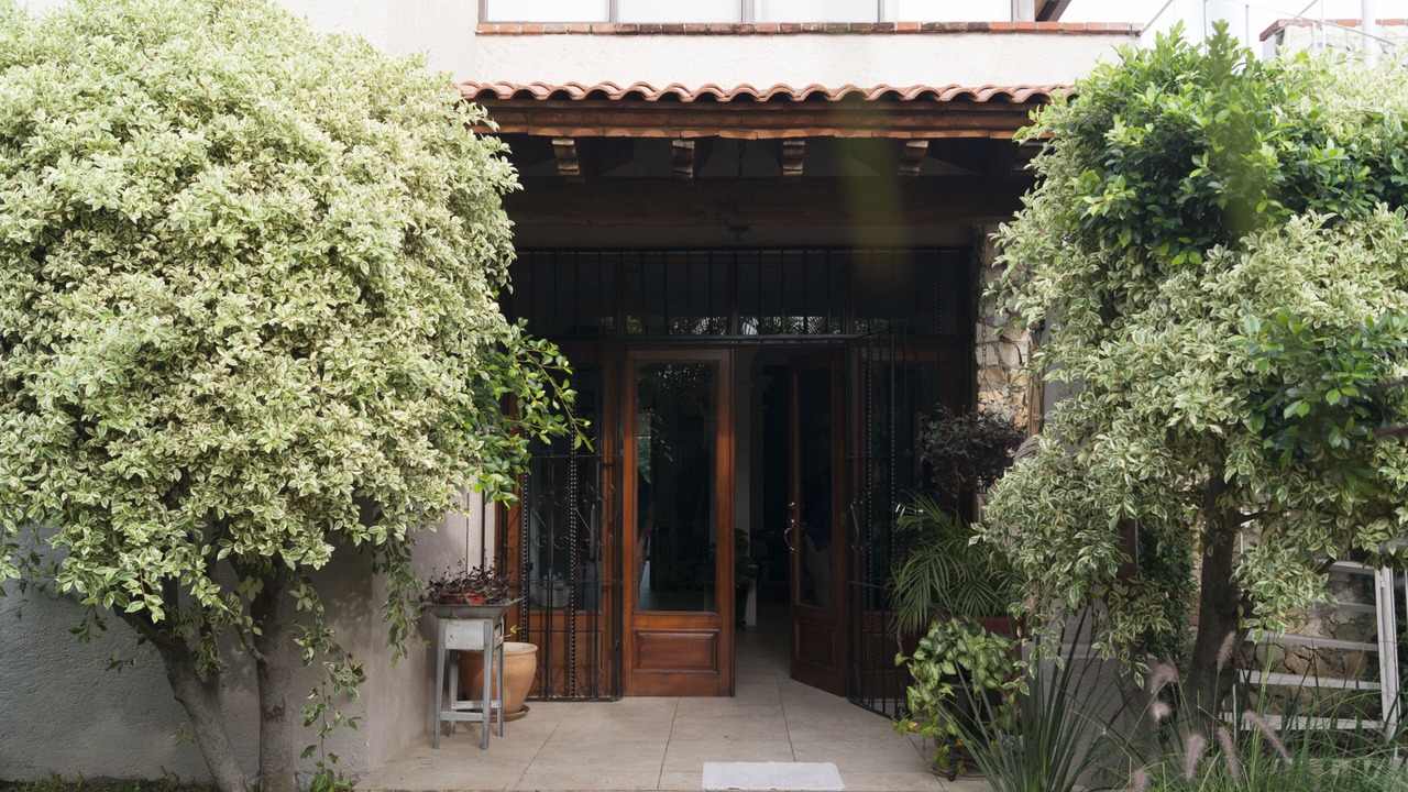 Photo of Outdoor in Oaxaca