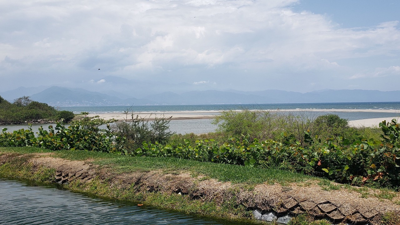 Photo of Others in Nuevo Vallarta