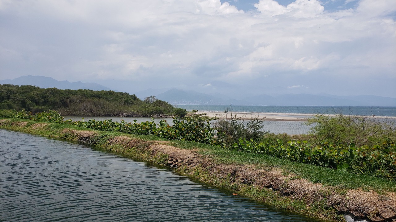 Photo of Others in Nuevo Vallarta
