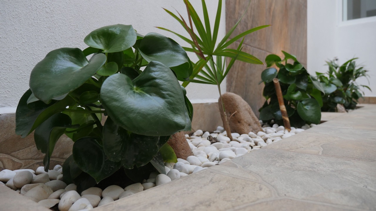Photo of Outdoor in Aguascalientes