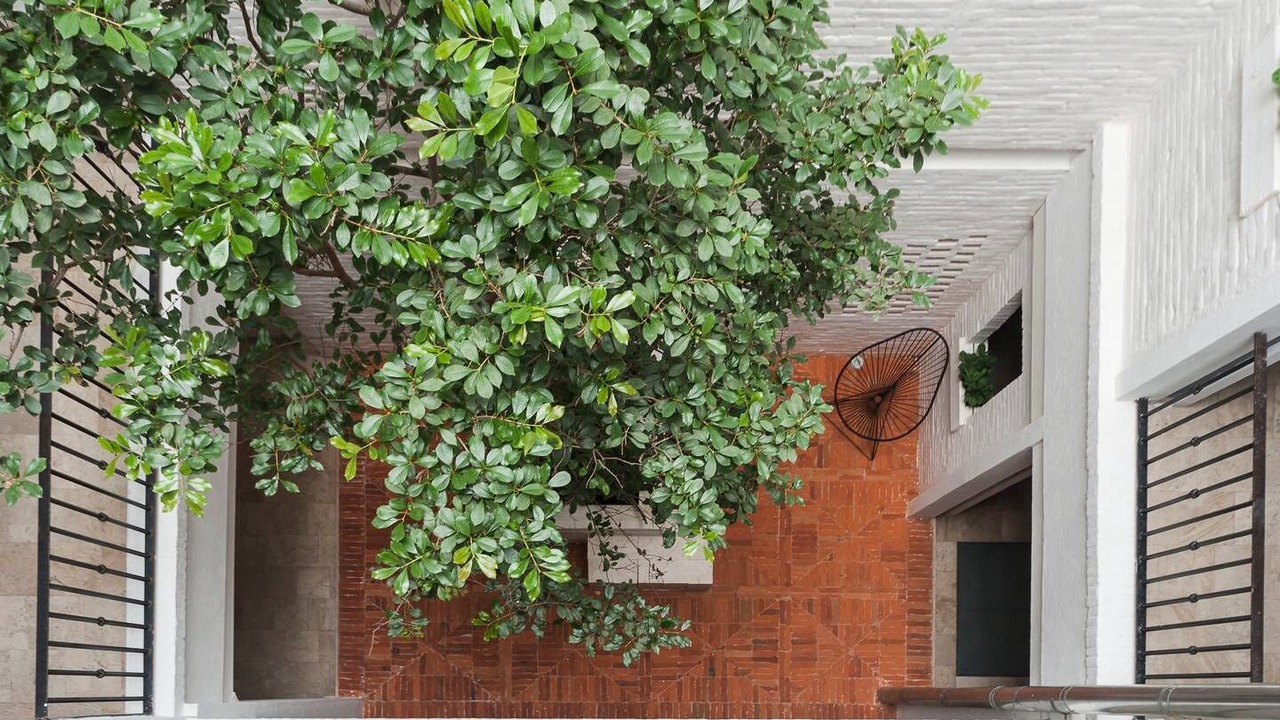 Photo of Outdoor in Historic Center