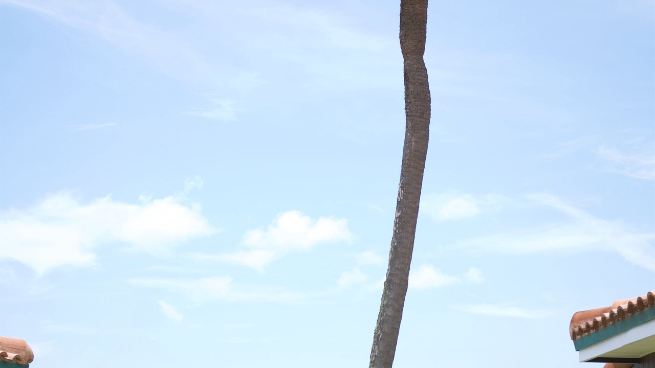 Photo of Outdoor in Hillsboro Beach