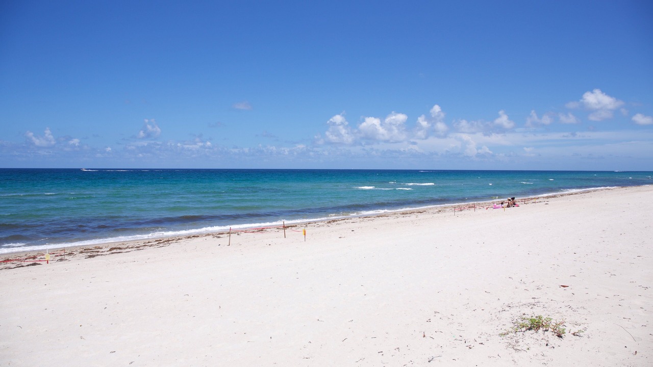 Photo of Others in Hillsboro Beach