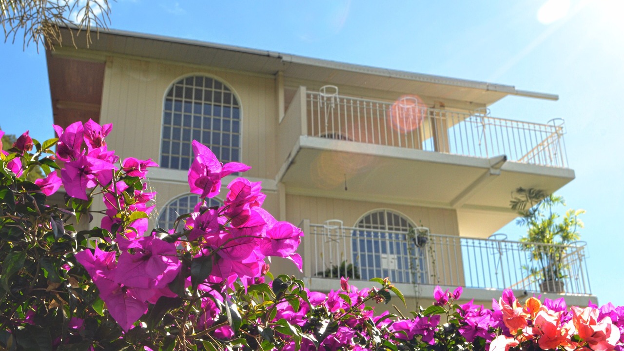 Photo of Outdoor in Morelos