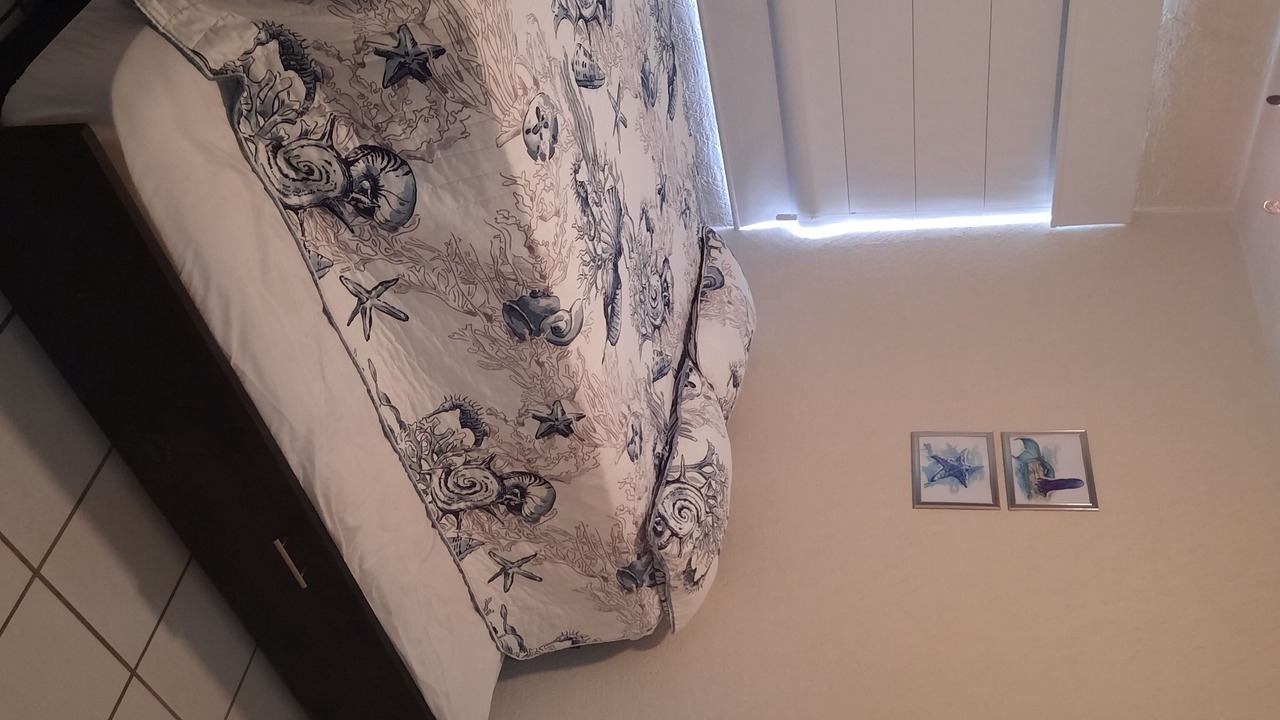 Photo of Bedroom in San Carlos
