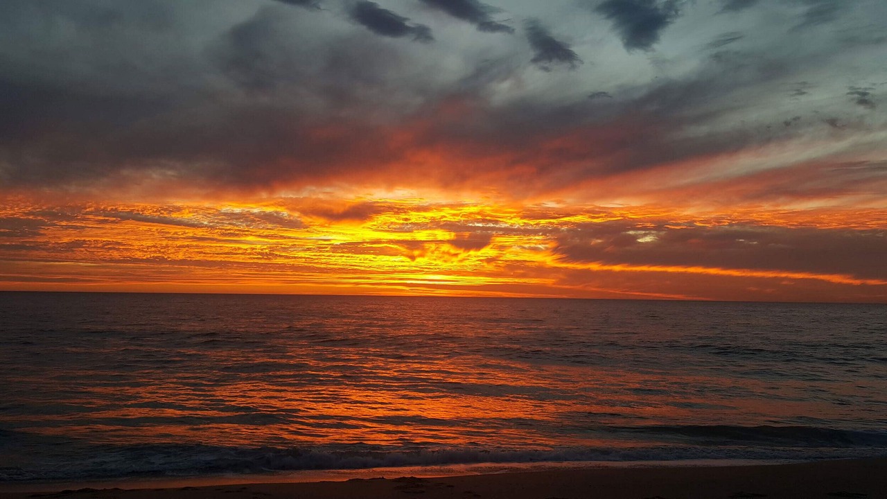 Photo of Others in Todos Santos