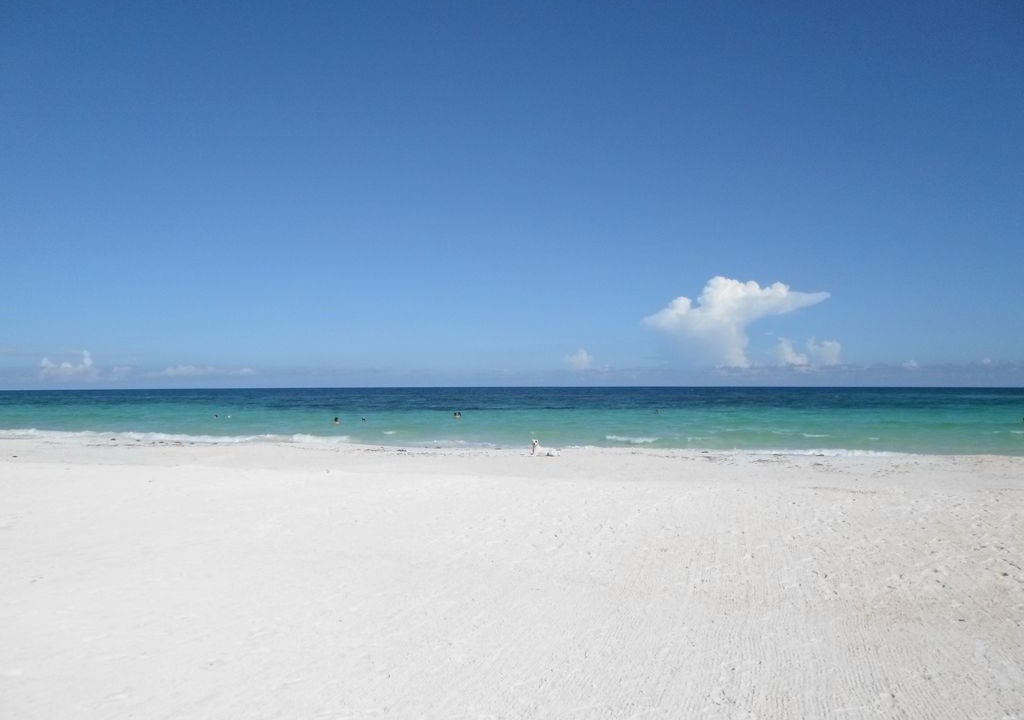 Photo of Others in Tulum