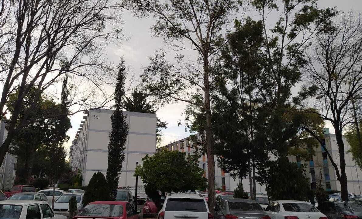 Photo of Outdoor in Miguel Hidalgo