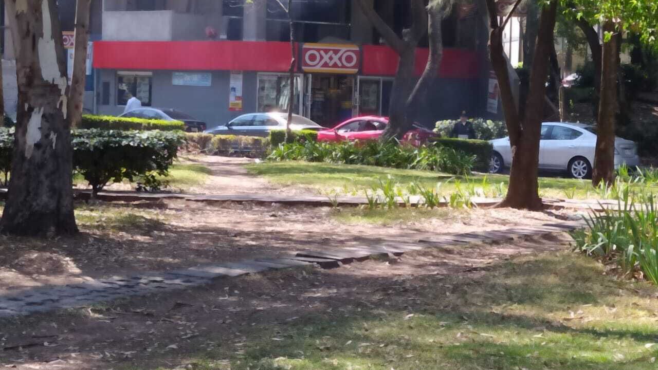 Photo of Outdoor in Miguel Hidalgo