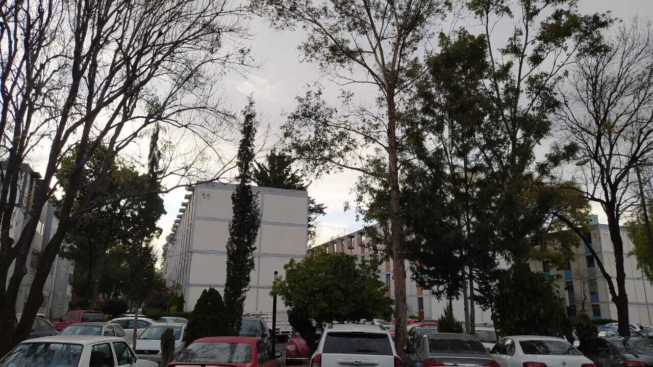 Photo of Others in Miguel Hidalgo