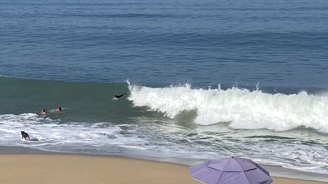 Photo of Others in San Francisco