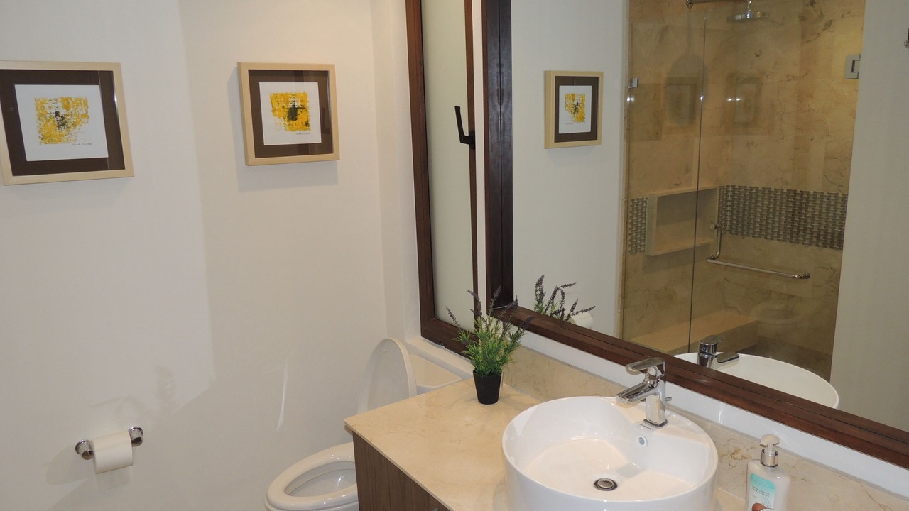 Photo of Bathroom in Emiliano Zapata