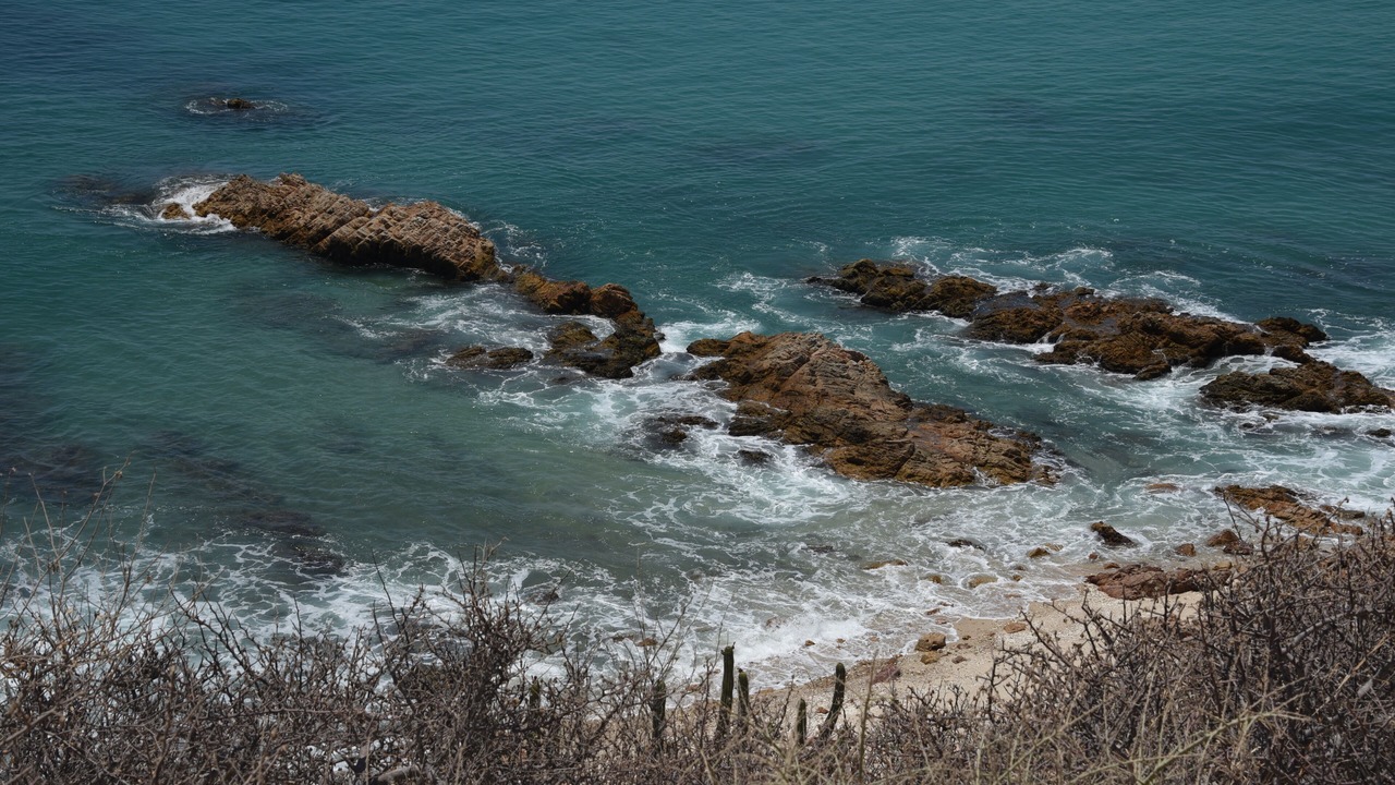 Photo of Others in El Cardonal