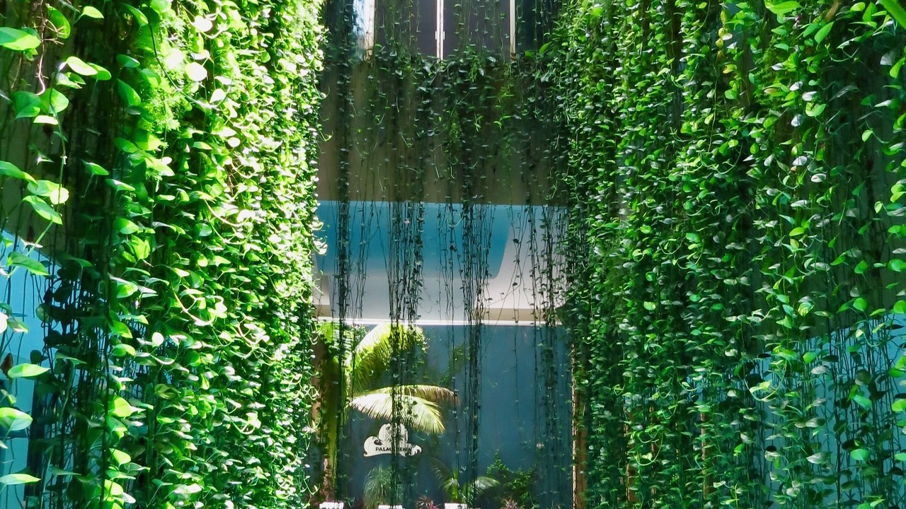 Photo of Outdoor in Centro