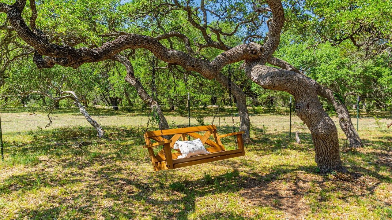 Photo of Others in Spring Branch