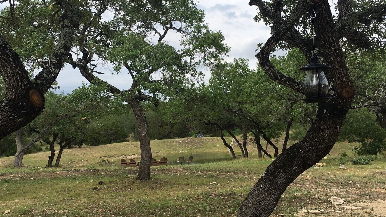 Photo of Others in Spring Branch